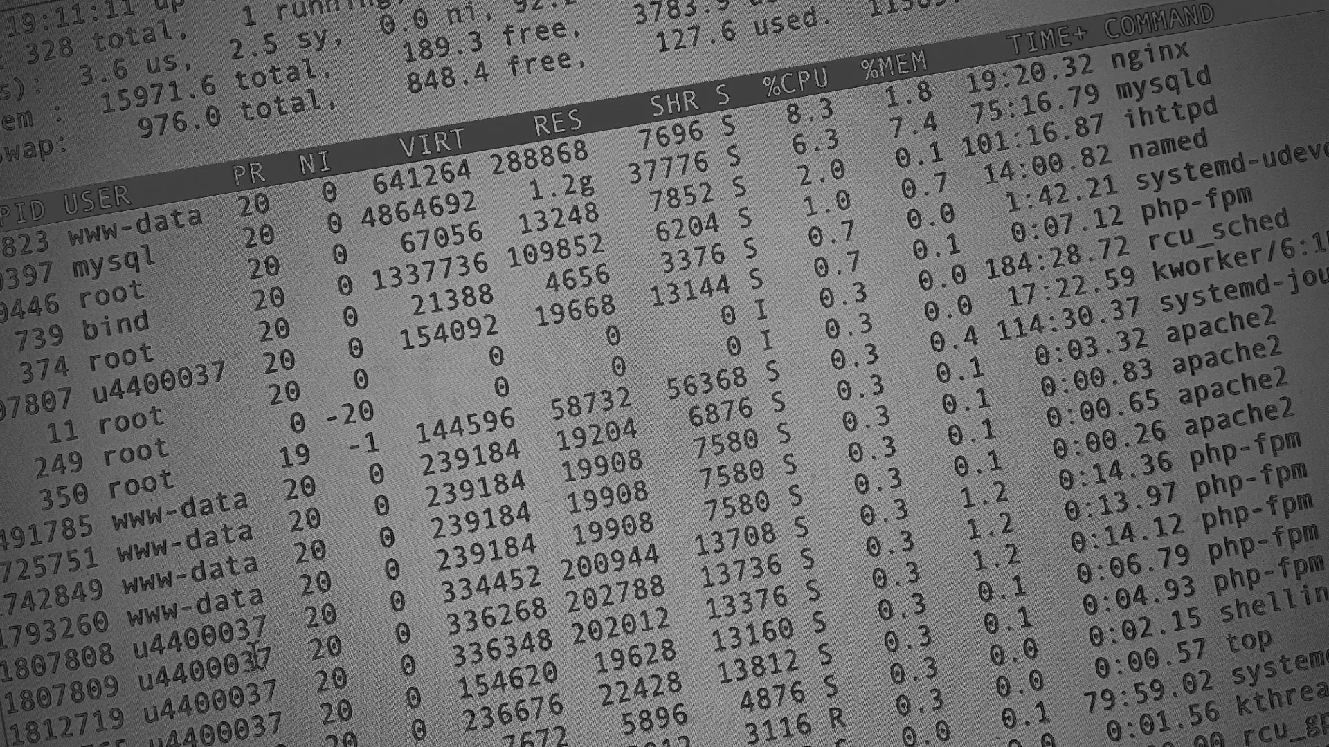 Настройка сервера в Брянске