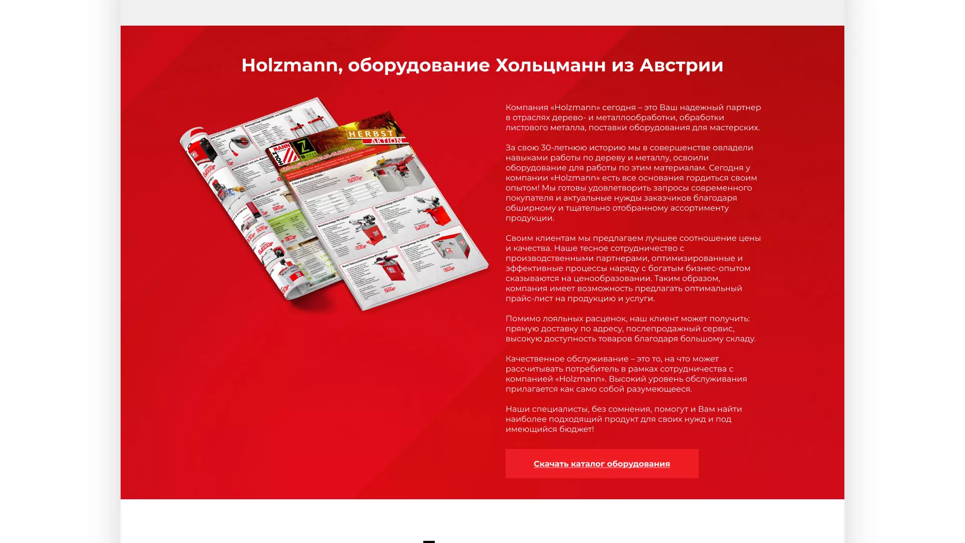 Создание сайта компании «HOLZMANN Maschinen GmbH» в Брянске
